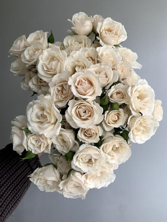 White Spray Roses