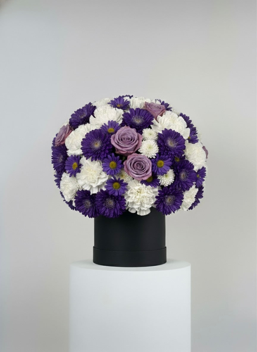 Purple and White Box