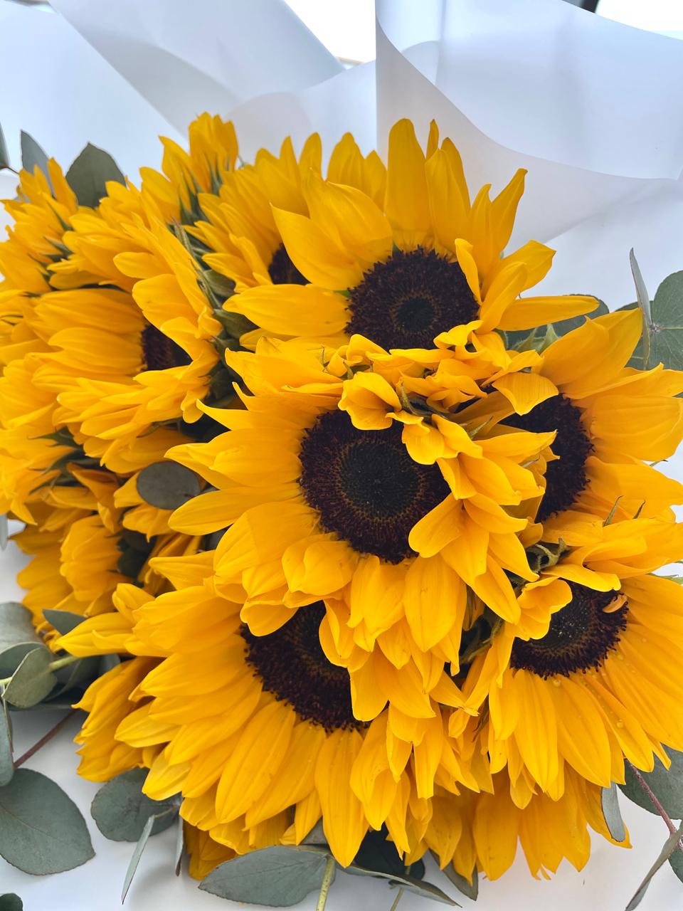 Beautiful Sunflower Bouquet