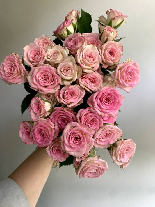 Pink Spray Roses