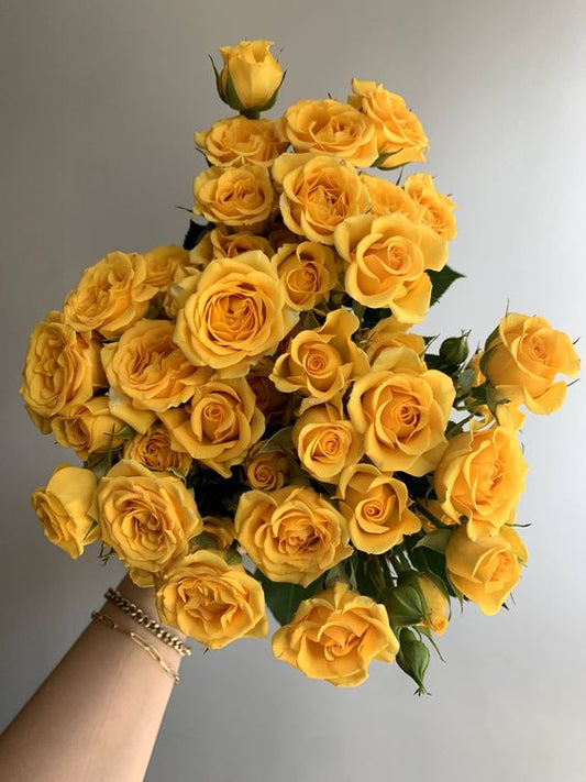 Yellow Spray Roses