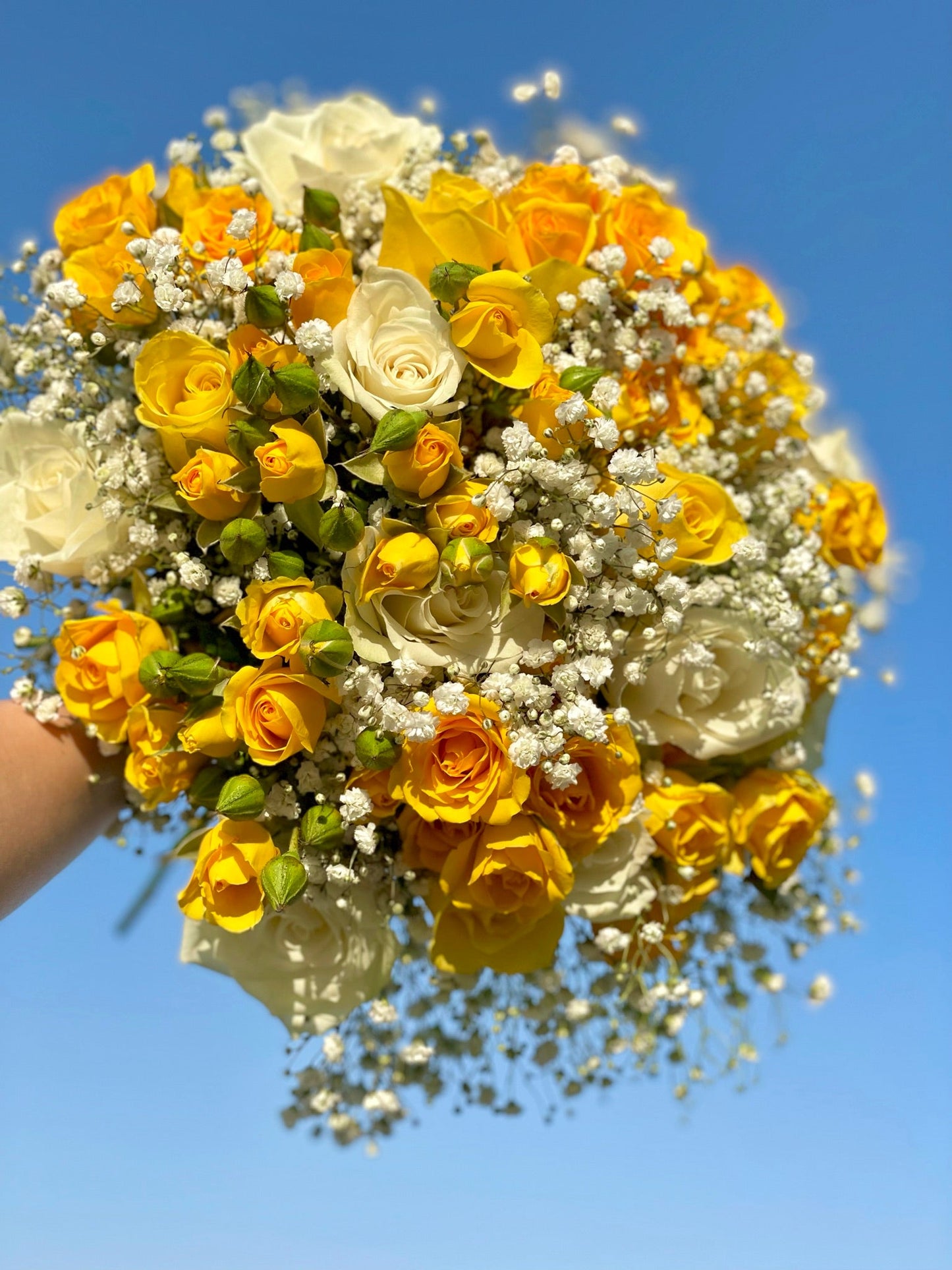yellow and white roses