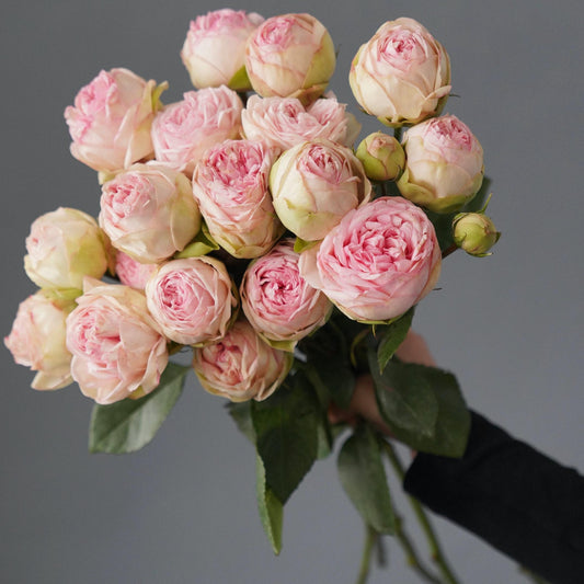 A Bunch of Peach Garden Roses