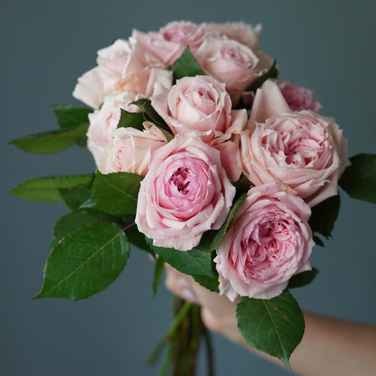 Bunch of Pink Roses