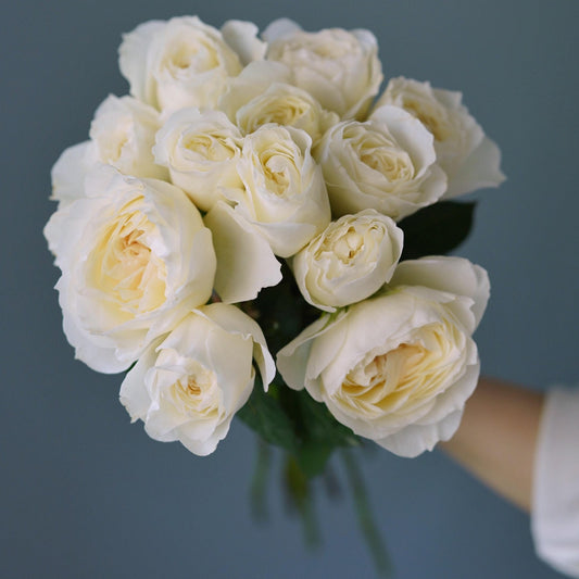 White Roses