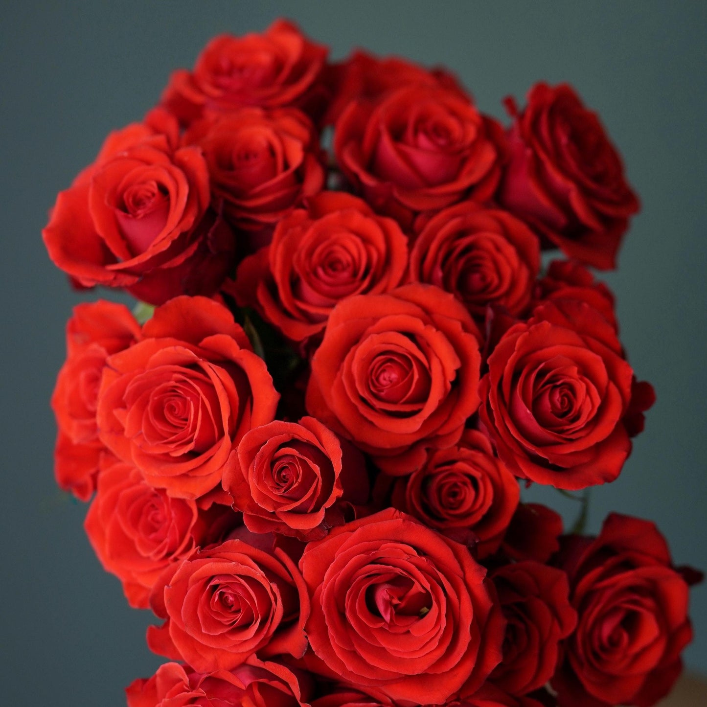 Bunch of Red Roses