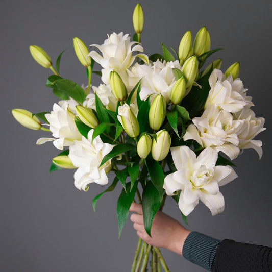 Bunch of Lilies