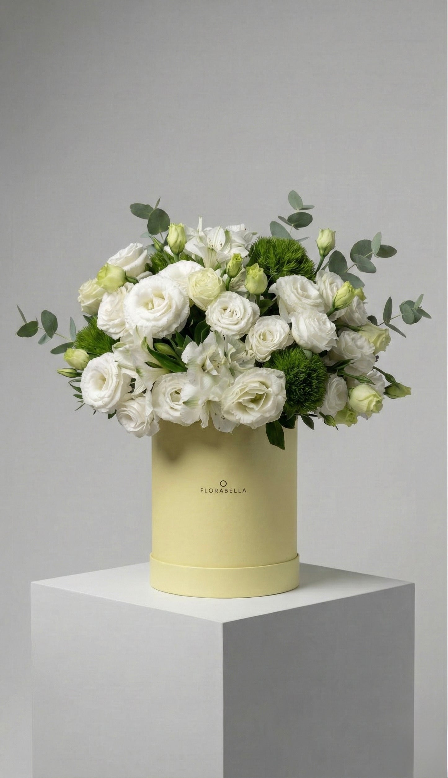 White Flowers in Yellow Box