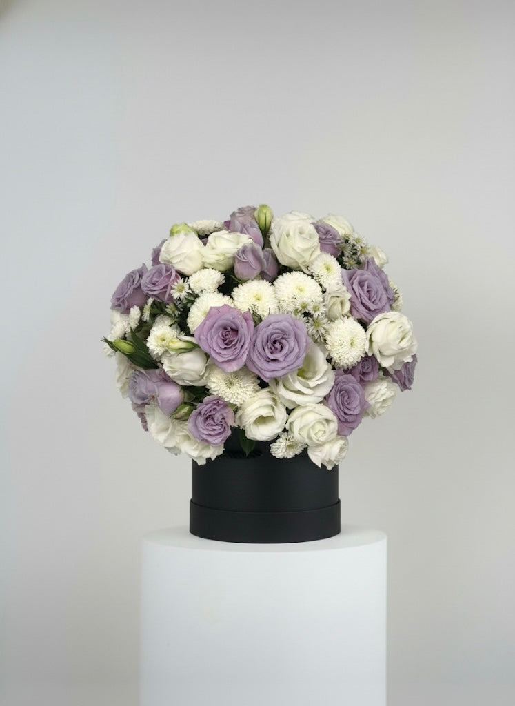 Purple and White Box 2