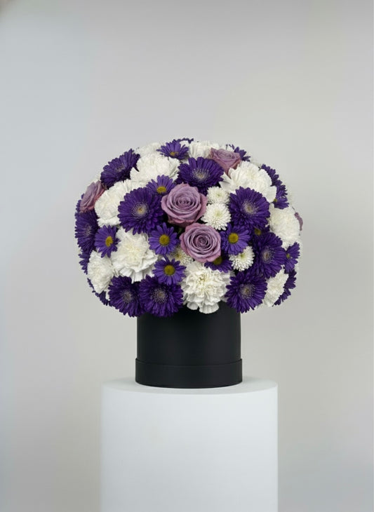 Purple and White Box