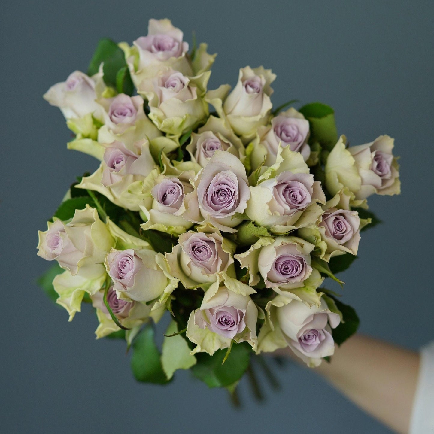A Bunch of Purple Roses