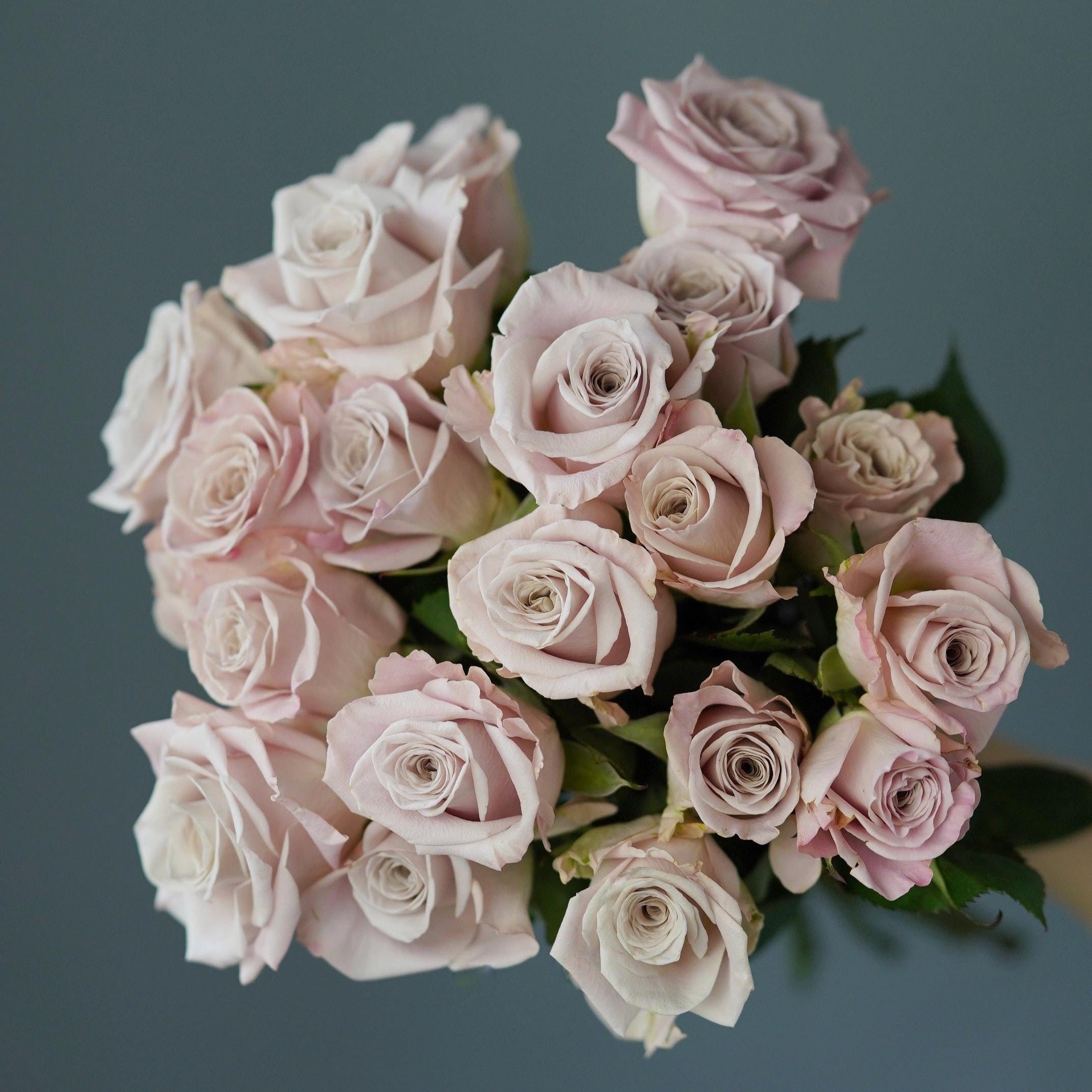 A Bunch of Cappuccino Roses | Florabella Flowers