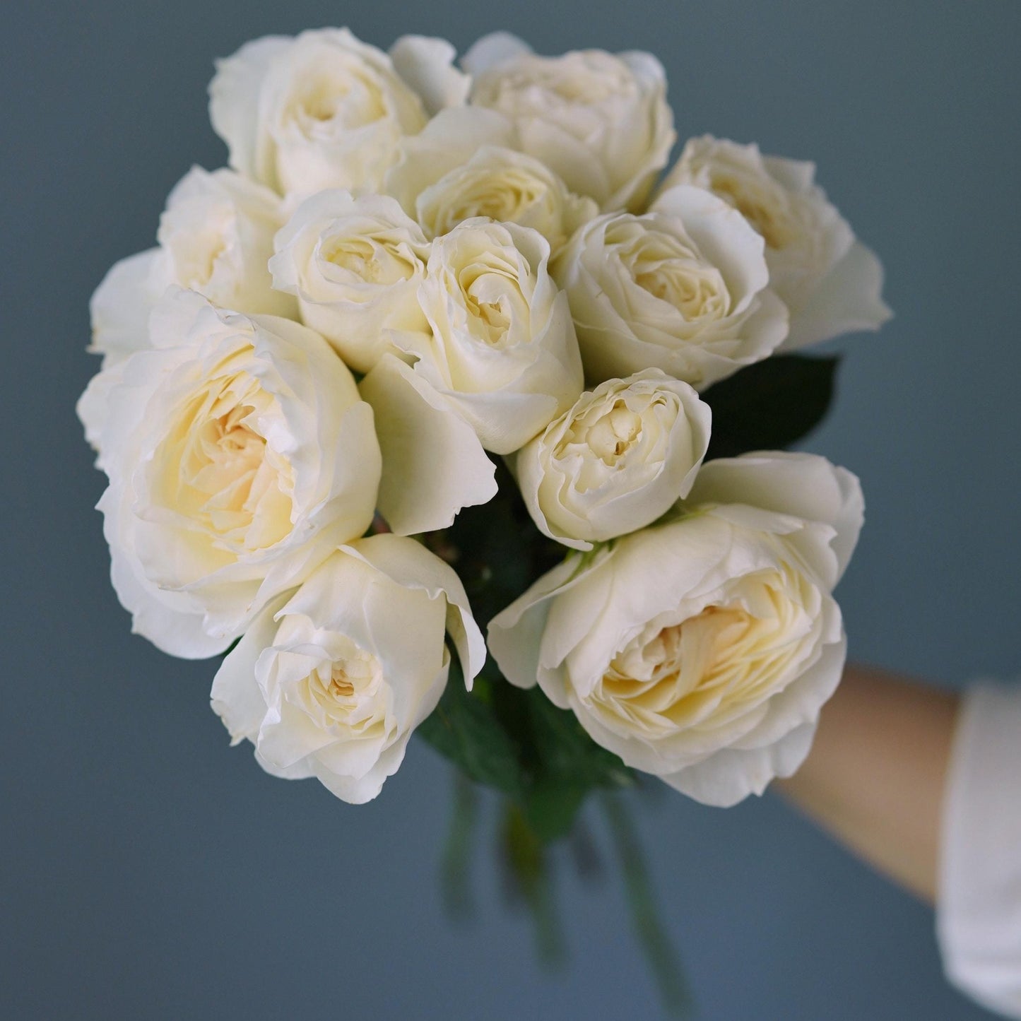A bunch of White Roses