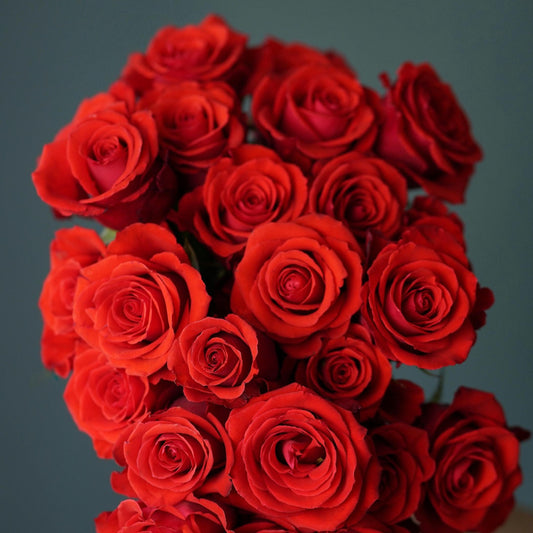 A bunch of Red Roses