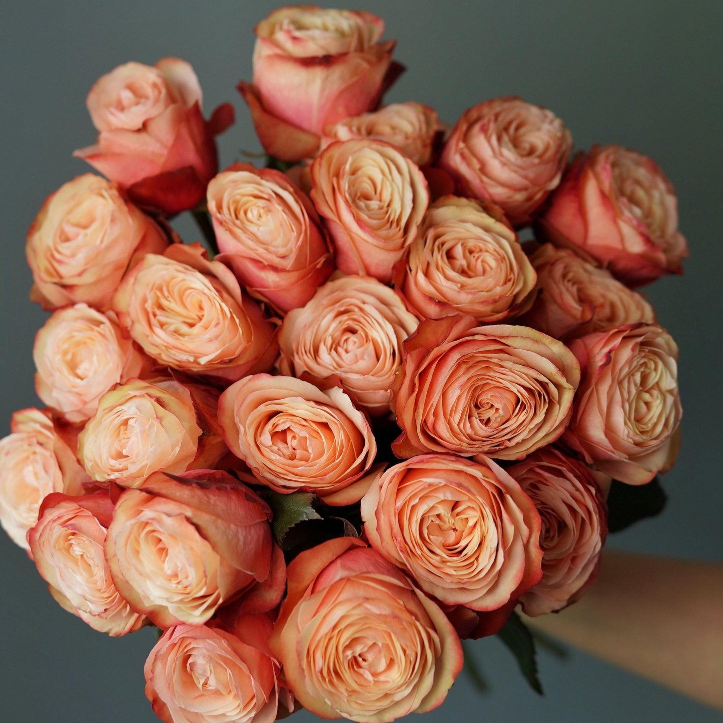 A Bunch of Orange Roses
